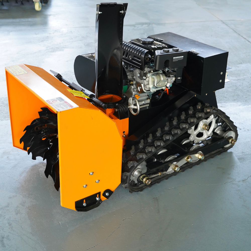 Untitled design (35)